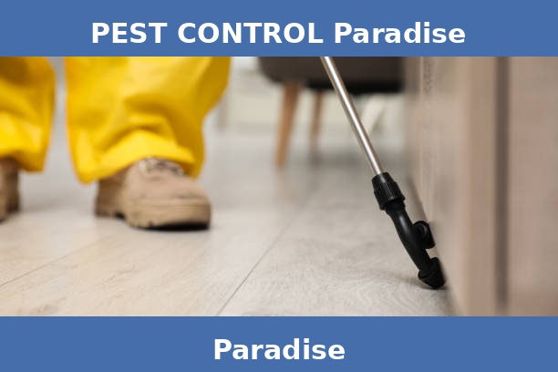 PEST CONTROL Paradise